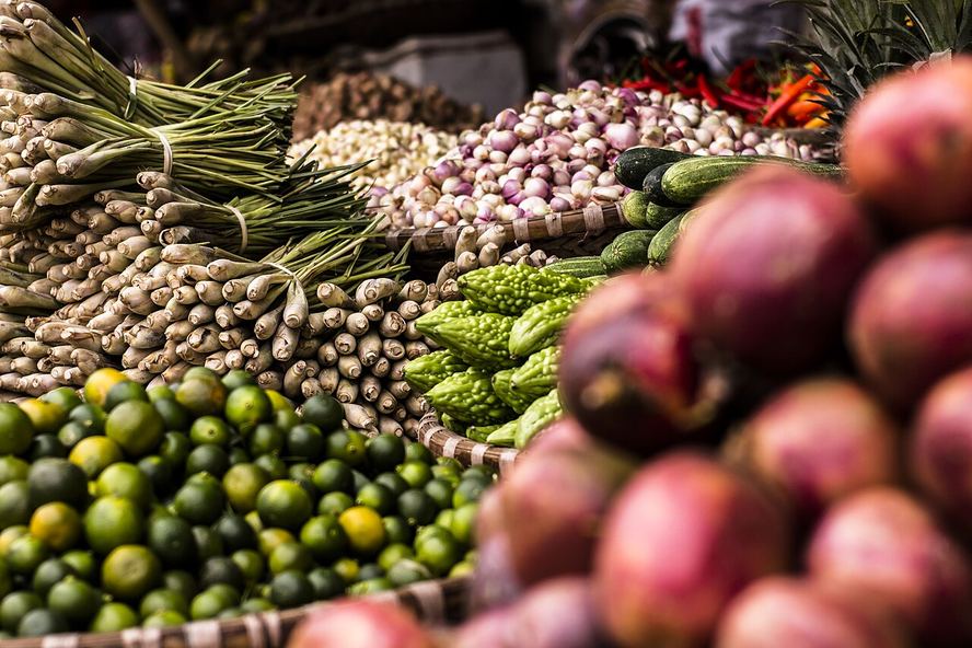 L'alimentation