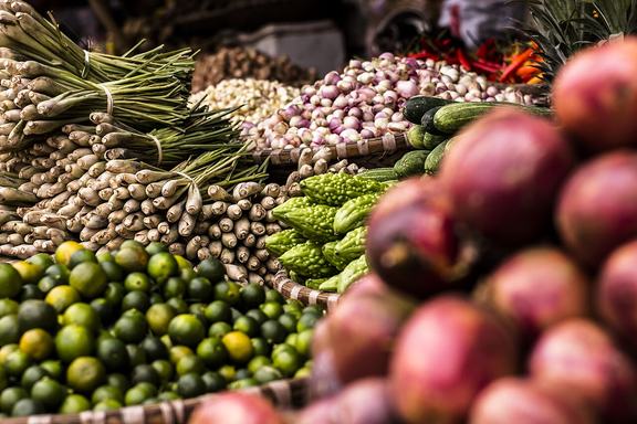 L'alimentation